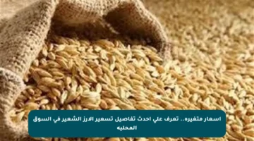 أسعار متغيرة.. تعرف على أحدث تفاصيل تسعير الأرز الشعير في السوق المحلية